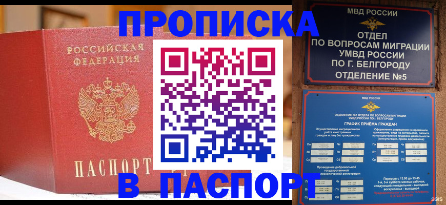 временная регистрация в квартире в Истре